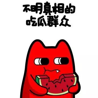 闪闪吃瓜群众,网络红人的崛起与影响