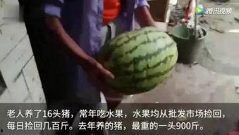 最新吃瓜的视频,娱乐圈幕后大事件曝光！